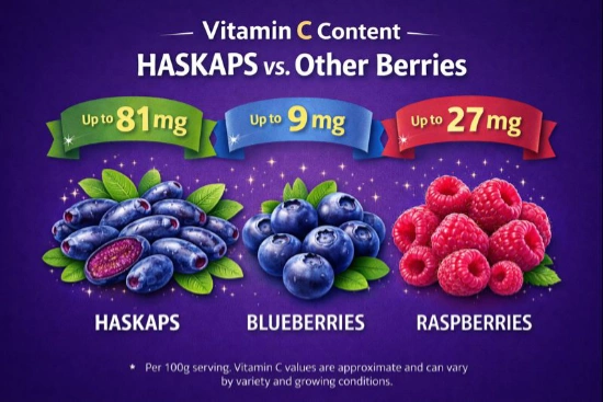 Haskap VitaminC