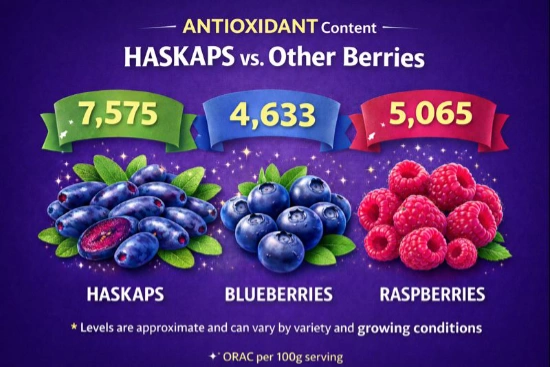 Haskap AntiOxidants